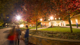 students on fall campus