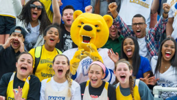 WNE school athletics crowd