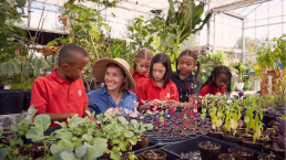 students in garden