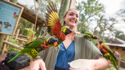 student with parrots